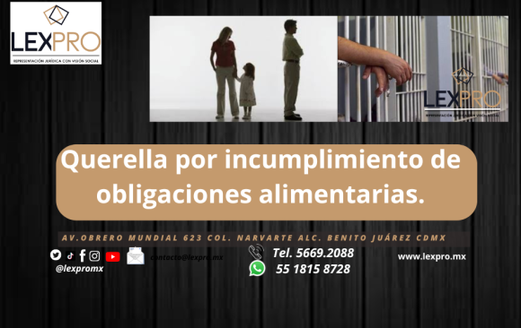 Pensión alimenticia por la vía penal, tips.